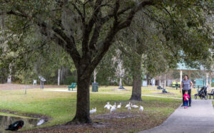 Spring Park in Green Cove Springs with families enjoying the river view